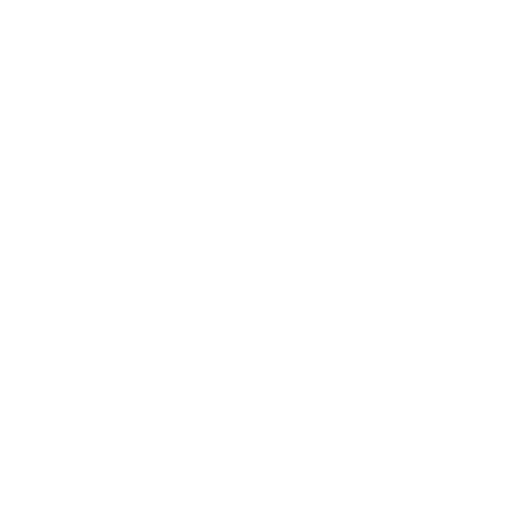 Government Insulation Grant