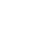 Government Insulation Grant