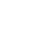 Government Insulation Grant